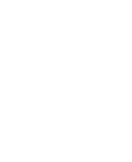Apple iOS